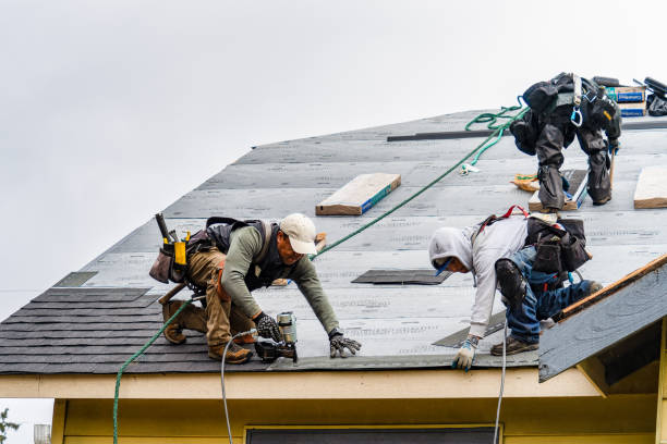 Professional Roof Installation technician working in Denmark, WI